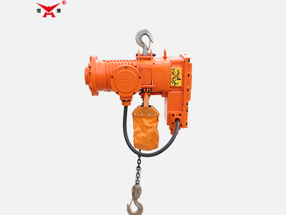Dust Explosion-Proof Electric Chain Hoist