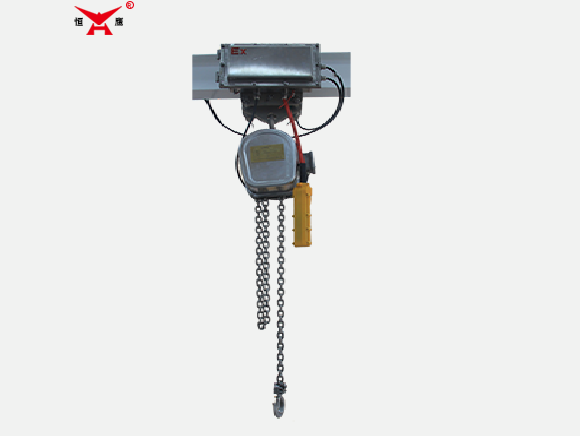 Stainless Steel Electric Chain Hoist