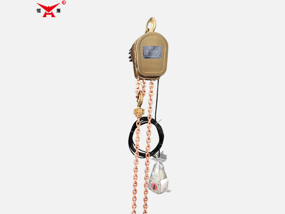 DHBS Fixed Explosion-Proof Electric Chain Hoist